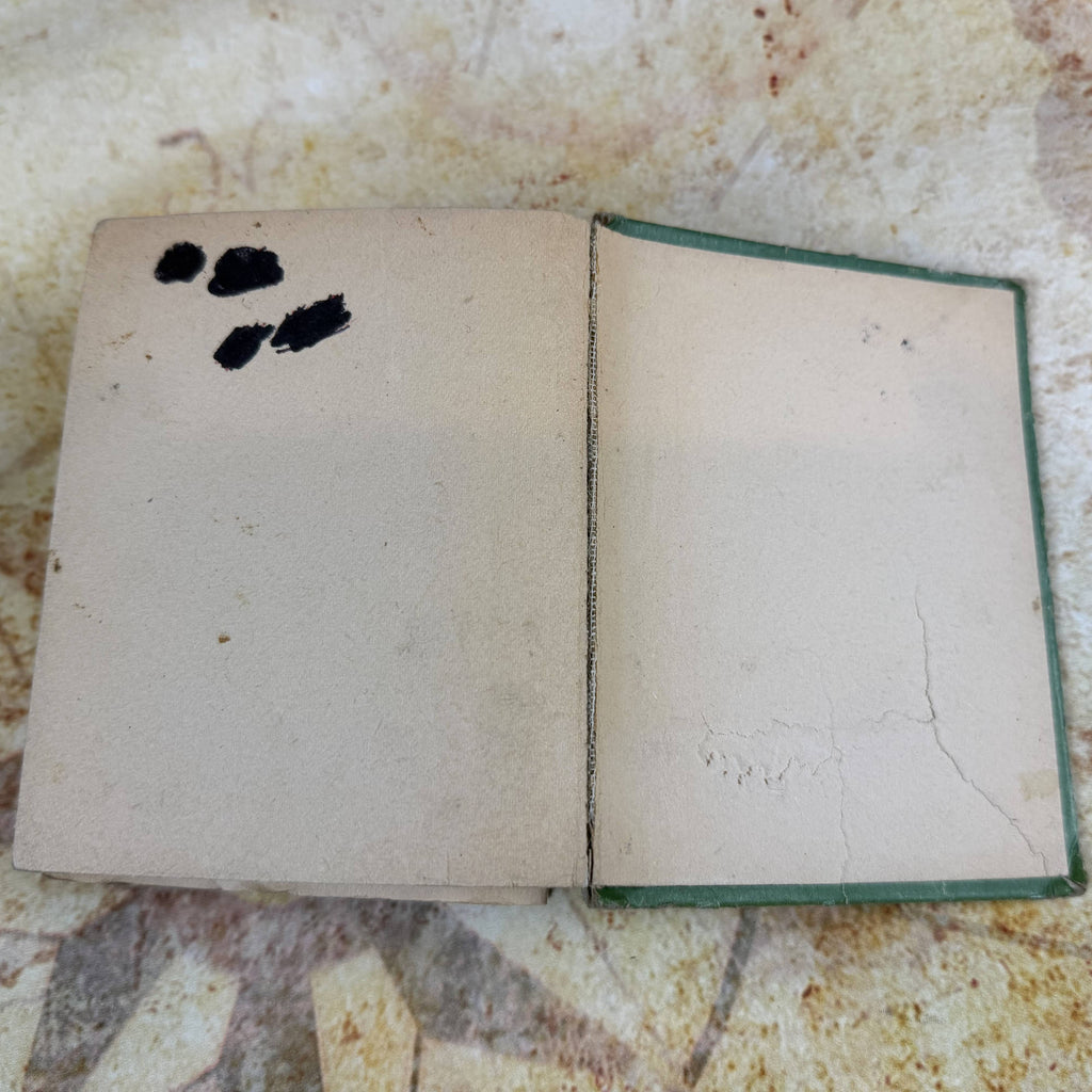 Walt Disney's Mickey Mouse Sails for Treasure Island | Big Little Book #750 | Whitman 1933 Vintage